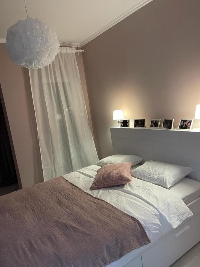 Beautiful Colors Residence Villa オトペニ エクステリア 写真